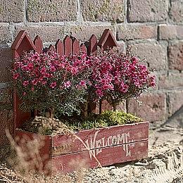 《宝可梦传说：Z-A》密阿雷市地图将会变得更加巨大